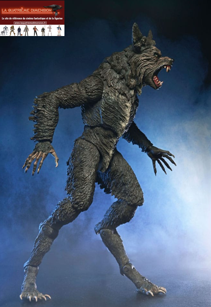 capture-20251127-135005